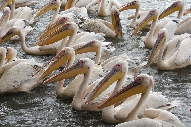 2-Day private Tour in Bahir Dar and Blue Nile falls - Who should book this two-day route