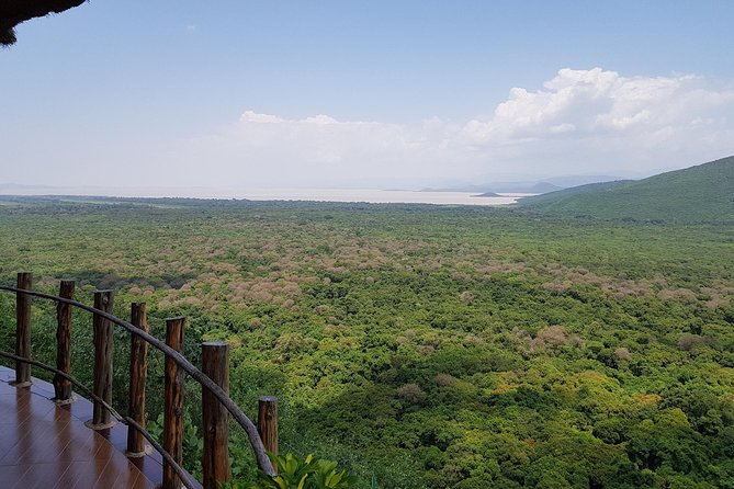 2 Days Ethiopian Rift Valley Lakes Tour from Addis Ababa - Bishoftu crater lakes and the coffee ceremony