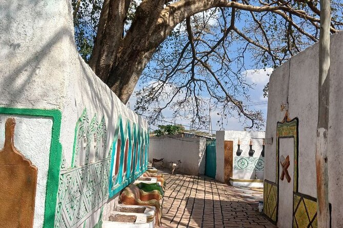 2 Days Harar Tours - Why Harar makes a powerful two-day trip