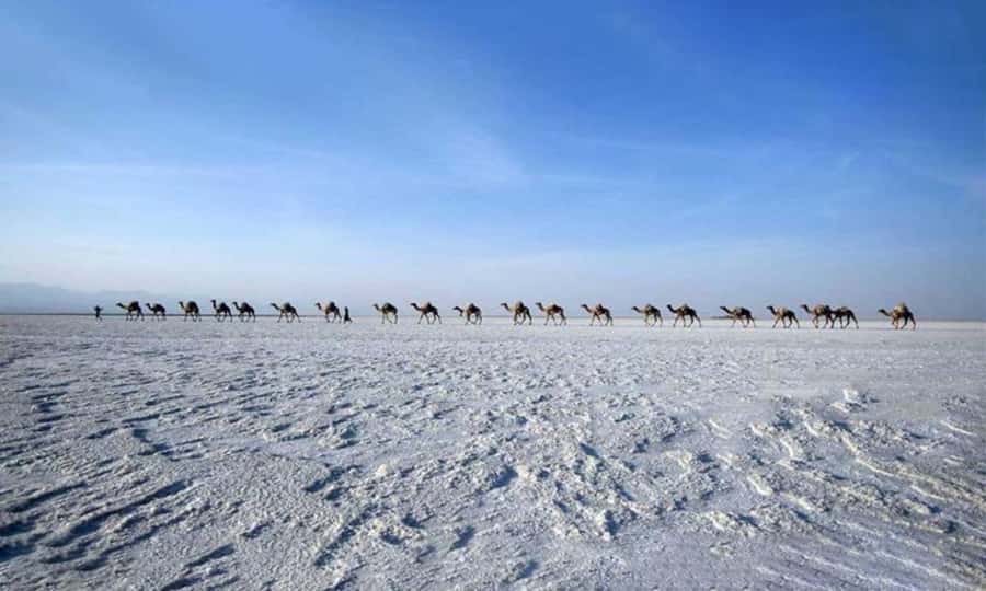 2-Night 3-Day Danakil Depression Tour without Flights - Why the Danakil Depression feels so different
