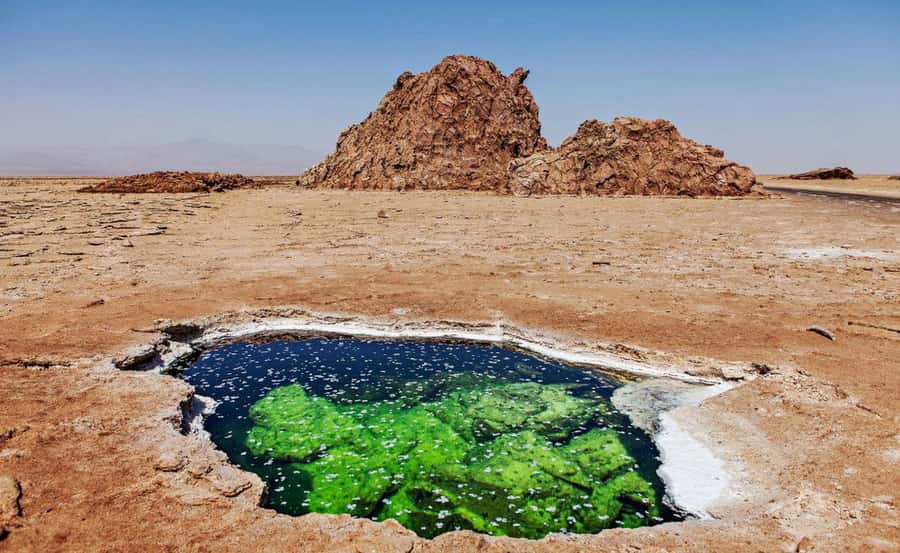 3-Day Danakil Depression A Journey into Earth’s Fiery Heart - Day 2: Dallol, salt caravans, and Erta Ale
