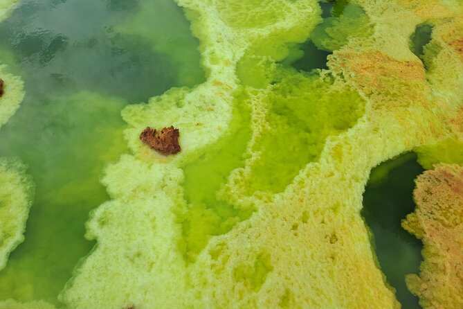 3 Day Danakil Depression Ertale and Dallol Tours - Dallol’s green, red, and yellow mineral world