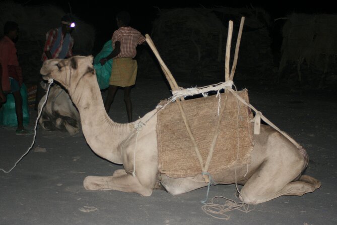 3-Day Danakil Depression Expedition - Camping, food, water, and physical effort