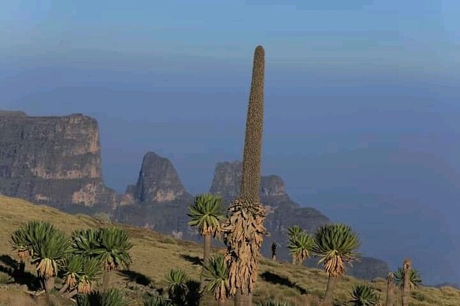 3 Day Simien Mountains Tours - Fitness, altitude, and camping comfort