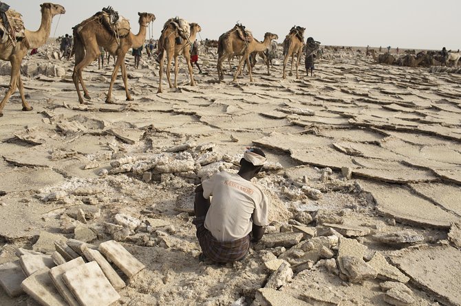 3 Day Tour to the Danakil Depression, Dallol, and Earta'le Volcano - Day three: Dallol at sunrise, then Mekele