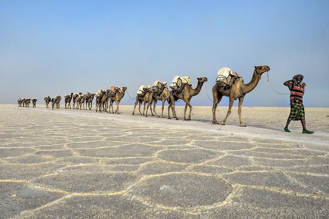 3 Day Tour to the Danakil Depression, Dallol, and Earta'le Volcano - Food, equipment, and physical demands