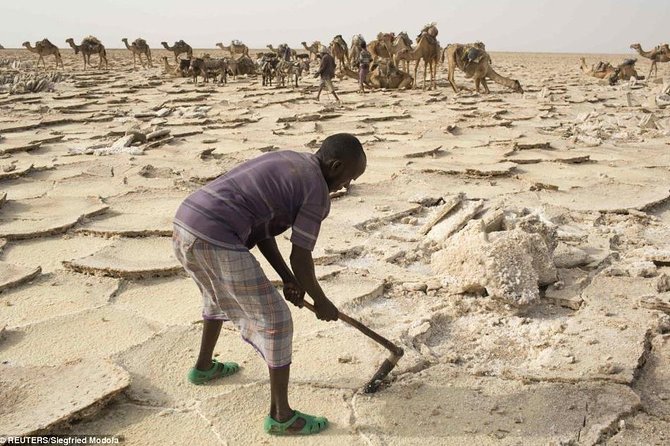3 Days Danakil Depression Tours Via Semera - Day three: salt production at Lake Afdera and the return to Semera