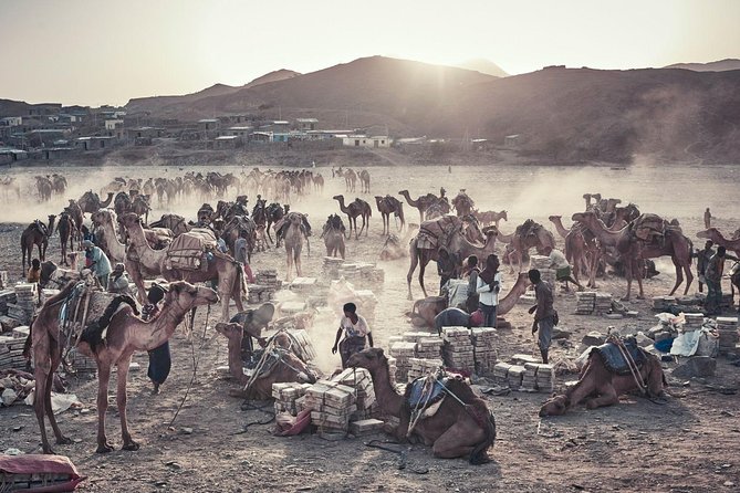 3 Days Danakil Depression Tours Via Semera - Comfort, meals, and physical demands
