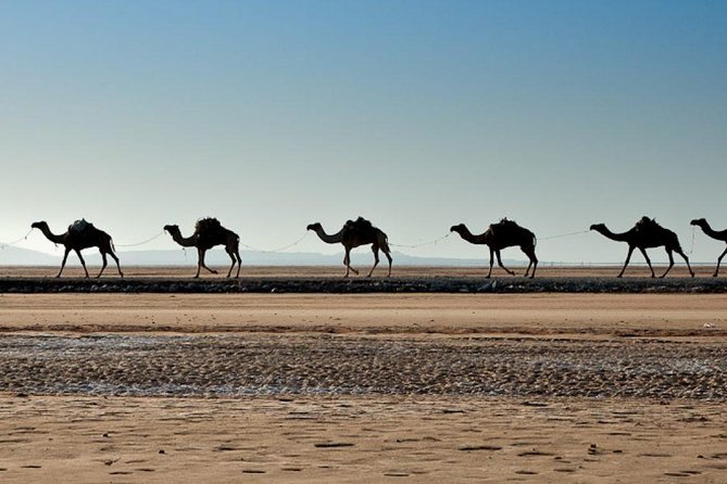 3 Days Danakil Depression Tours Via Semera - Booking advice and cancellation terms