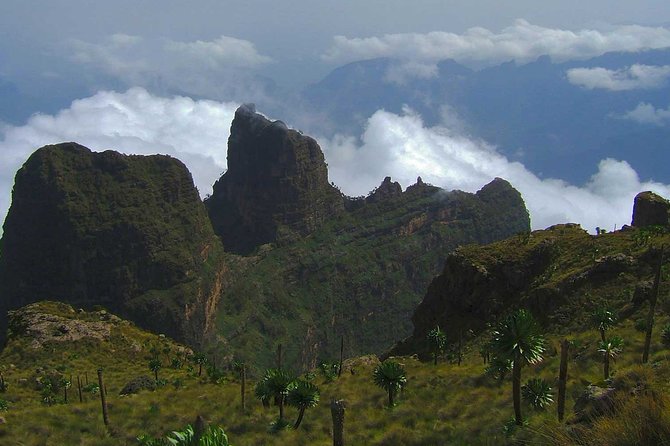 4 Days Trekking to Simien Mountain National Park - Day 3: Giant Lobelia and Imet-Gogo at 3,926 metres