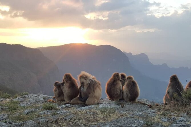 5 days Exploring North Ethiopia's Rich History and Culture - Who should book this North Ethiopia trip