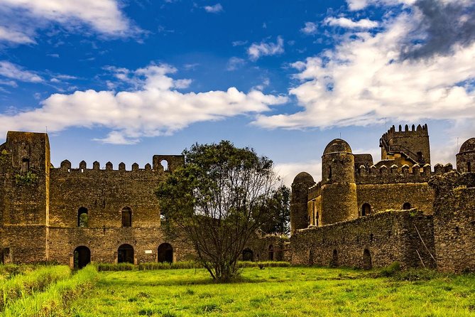 5 Days North Ethiopia Tours - Who should book this northern Ethiopia tour?