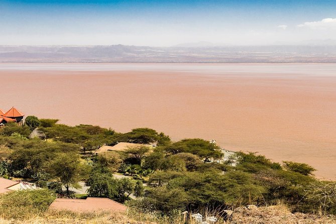 6 days 5 nights Addis Abeba sightseeing & Lalibela Rock-Hewn Churches - Lake Langano closes the trip with water and open space