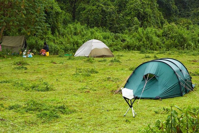 6 Days Bale Mountains Trekking - Day 4: Volcanic country shaped by ice and fire
