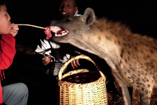 6 Days Lalibela, Omo Valley and Harar - Harar’s old walls and the evening hyena feeding