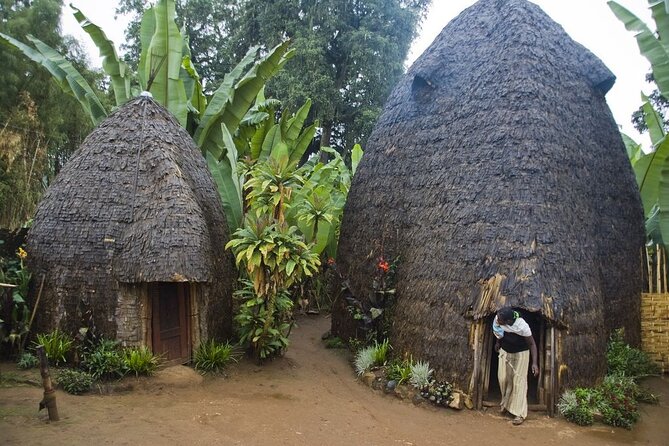 6 days Omo valley cultural Tour - Day 3: Mursi country in Mago National Park