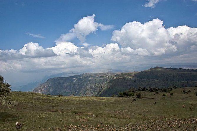 6 Days tour Package (Simien Mountains, Lalibela, and Danakil Depression) - Day 4: Reaching Erta Ale by 4WD