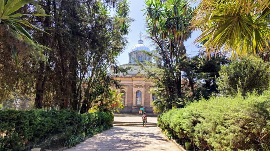 Addis Ababa city tour from Bole airport and All Hotels - Meeting Lucy at the National Museum