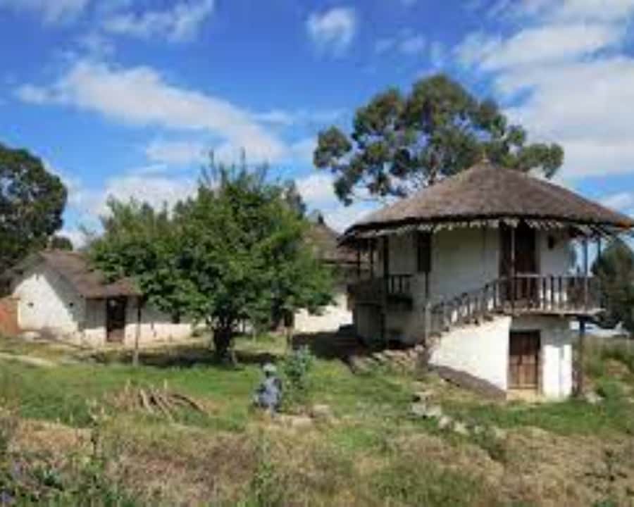 Addis Ababa: Entoto hill and Mercato Market layover tour - Why this tour works well for an Addis Ababa layover