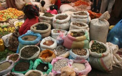 Entoto hill and Mercato Market layover tour