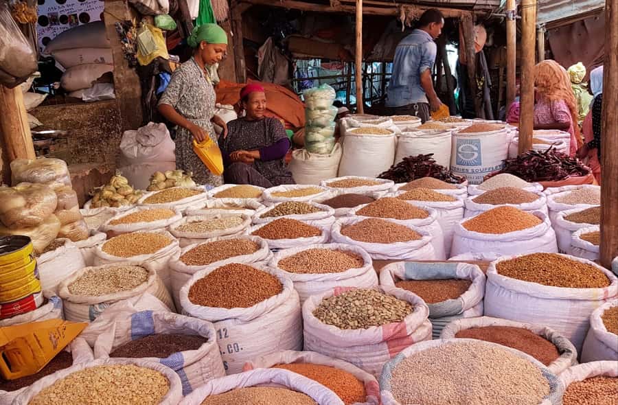 Addis Ababa: Entoto hill and Mercato Market layover tour - Should you book the Entoto and Mercato tour?
