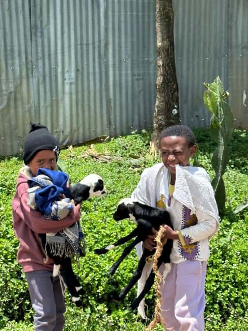 Addis Ababa highlight city tour - Guides, drivers, and the feel of the day