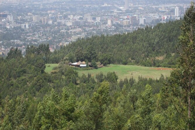 Addis Ababa +Mount Entoto View Point,Museums Palace Market Tours - Pause for lunch and local flavor