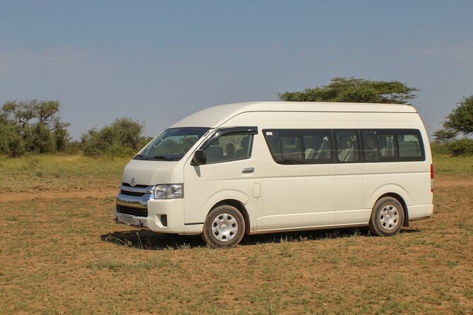 Addis Ababa Private Airport-Hotel Transfer - Vehicle choice for couples, families, and small groups