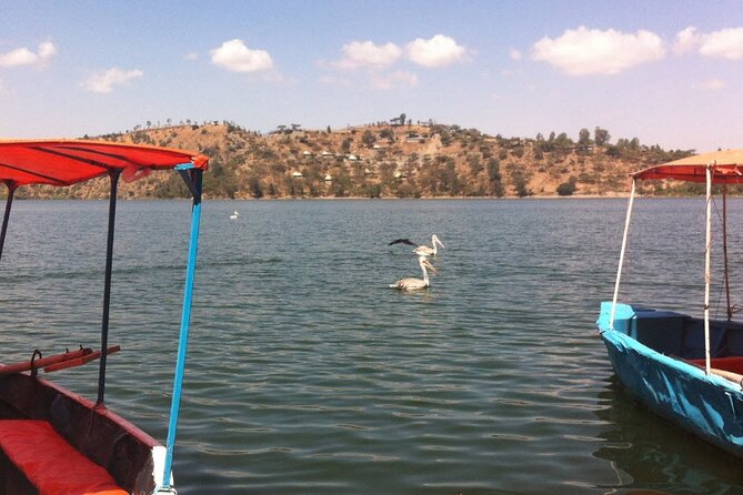 Addis Ababa Spa Day Trip To Debre Ziet(Resort Towns) - Lunch, coffee, and what is included