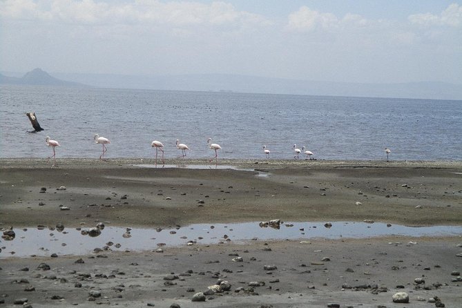 Arba Minch, Dorze Tribe, Konso, and Awasa Private 4 Days Tour from Addis Ababa - What to pack and what to expect