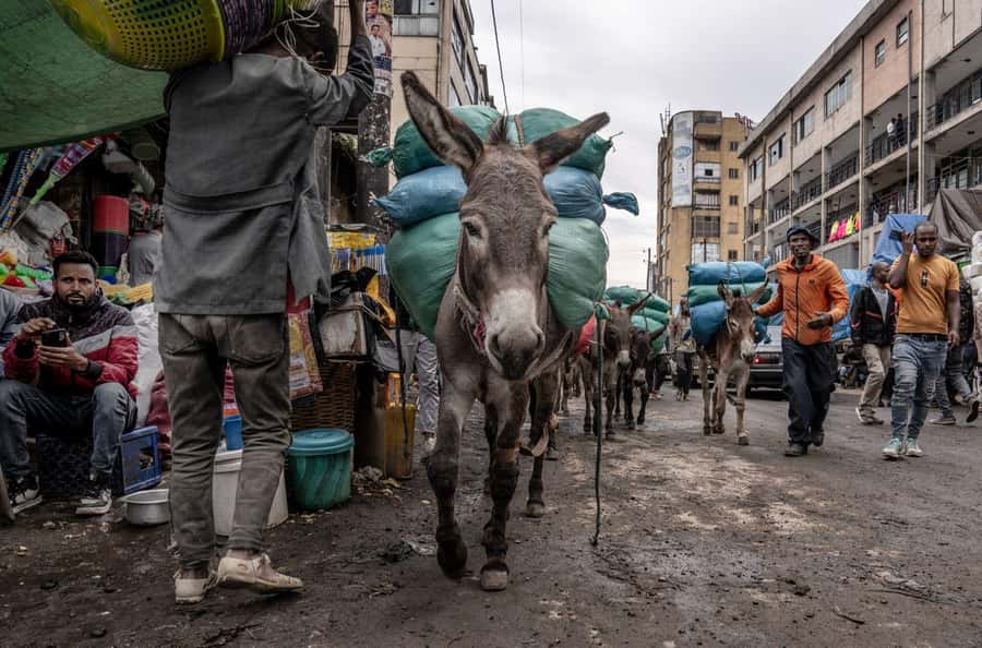 Authentic Addis Ababa City Tour with a Local Guide - Walking through Mercato with someone who knows the way