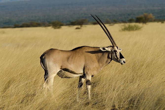 Awash National Park Tours - Key Points Before You Book
