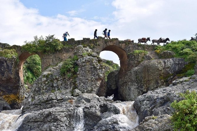 Breathtaking Nature, Wildlife and Cave Church Tour - Free Pickups - Mount Entoto above the capital