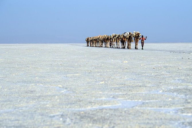 Danakil 3 days tour - Lake Afrera and the old crater country