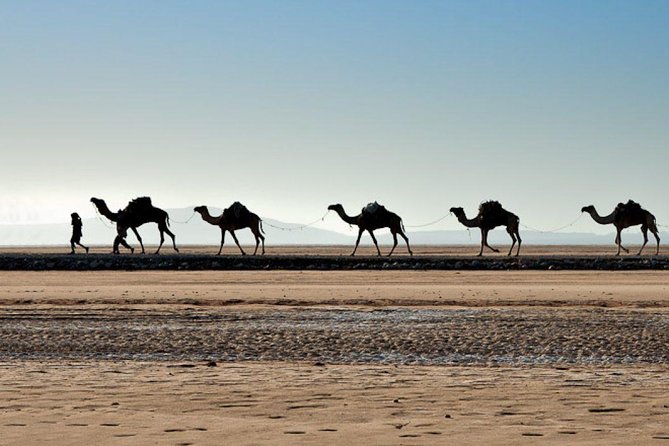 Danakil Depression and Lalibela 5 Days Tours - Why this five-day combination works