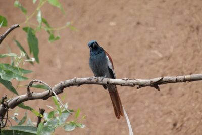 Day Hike Around Lalibela