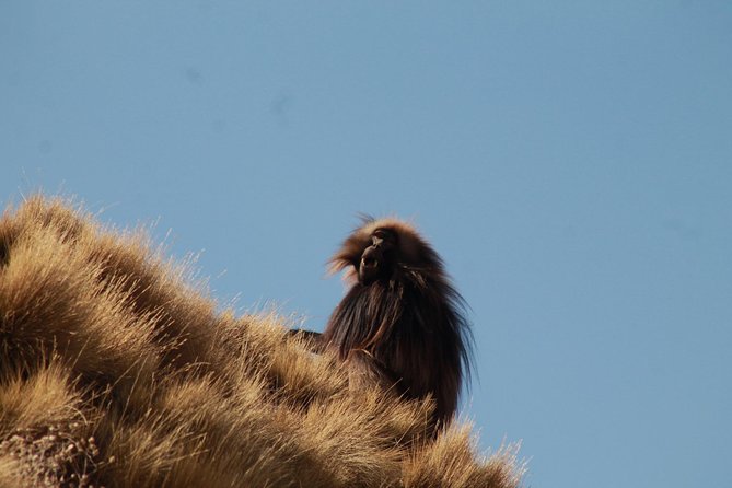 Day Hike Around Lalibela - What the private format means for you