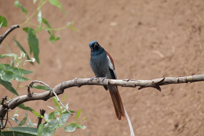 Day Hike Around Lalibela - Hudad Lodge and the long mountain view