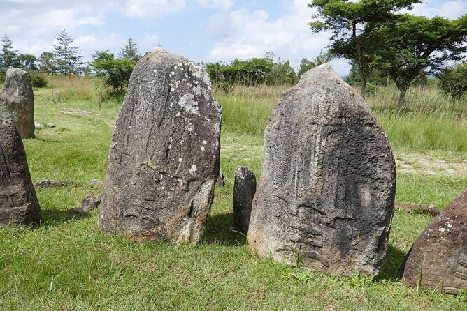 Day Tours to Tiya Stele and Cave Churches of Adadi Maryam - Leaving Addis Ababa at 8:00 am