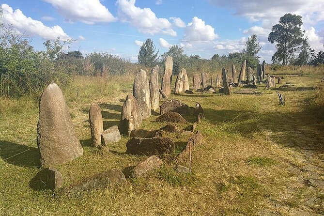 Day Tours to Tiya Stele and Cave Churches of Adadi Maryam - The driver and guide can shape the day