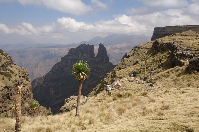 Day trek to Simeien Mountains - Weather, timing, and the small print that matters