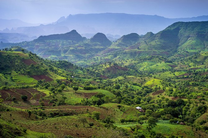 Day trek to Simien Mountain - From Gonder to Debark at 8:30 am