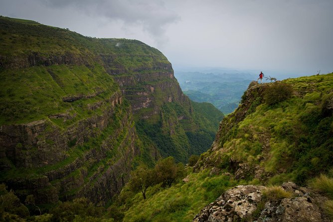Day trek to Simien Mountain - Driving through the park to Buit Ras