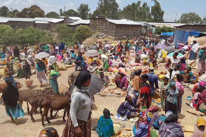 Day-Trip Church of Adadi Mariam from Addis Ababa - Melka Kunture and more than 800,000 years of prehistory