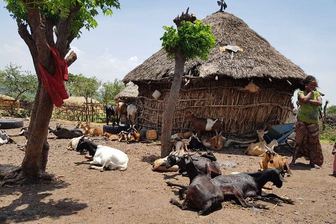 Day-Trip Church of Adadi Mariam from Addis Ababa - Rain, clothing, and other practical details
