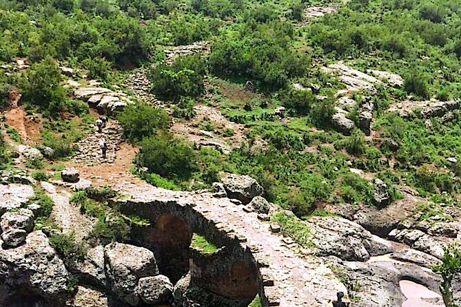 Day Trip Debre Libanos Bule Nile George and Portugal Bridge - Chelada baboons and Ethiopian birds