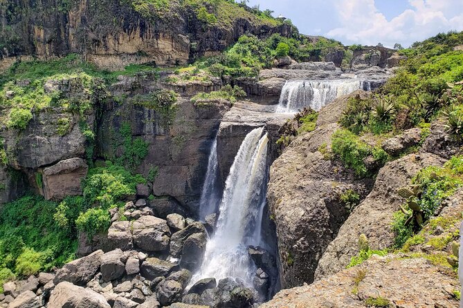 Day Trip From Addis Ababa See Historical Monastery,Stunning Nature,Animals,Birds - Who should book this Addis Ababa day trip?
