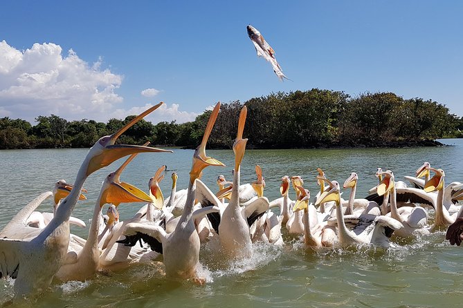 Day trip on Bahir dar. To visit lake tana monasteries and Blue Nile Falls. - Key points to know before you book
