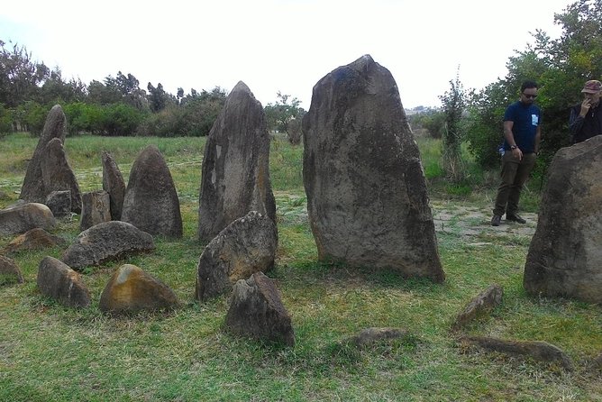 Day trip to Adadi Mariyam, Tiya and Melka kunture - Who should book this experience?