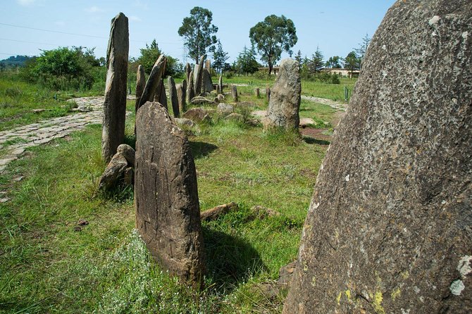 Day trip to Adadi Mariyam, Tiya and Melka kunture - Tiya’s carved stones and unanswered questions